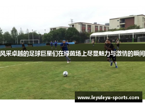 风采卓越的足球巨星们在绿茵场上尽显魅力与激情的瞬间